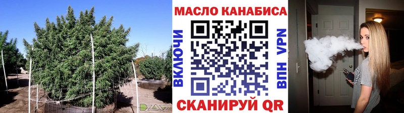 OMG зеркало  Выборг  Дистиллят ТГК THC oil 