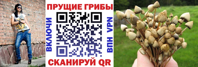 Галлюциногенные грибы GOLDEN TEACHER Выборг