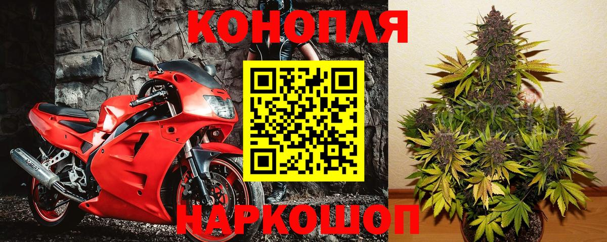 Конопля семена Выборг